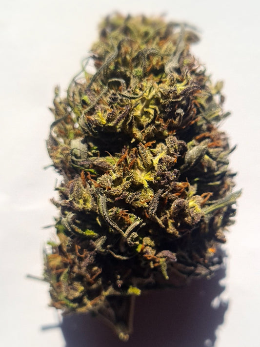 Orange Bud CBD bio